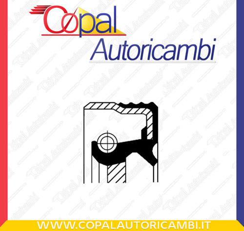 Paraolio albero camme - albero,